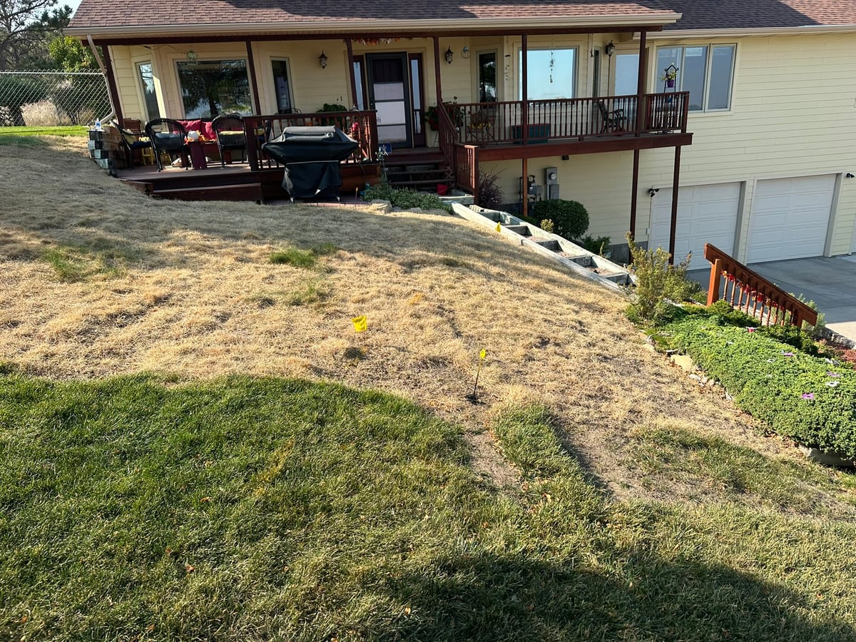 Patchy Grass Fixed — Merkle Werks landscaping project