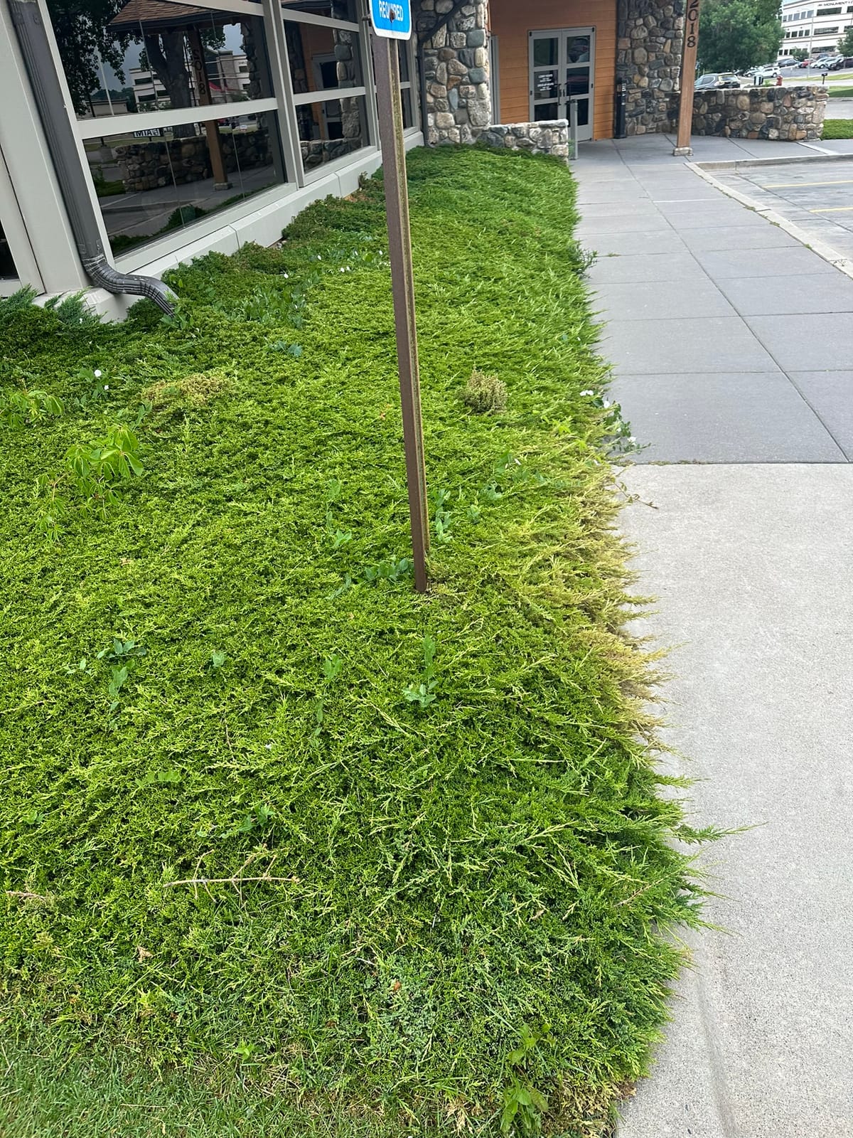 Merkle Werks landscaping work