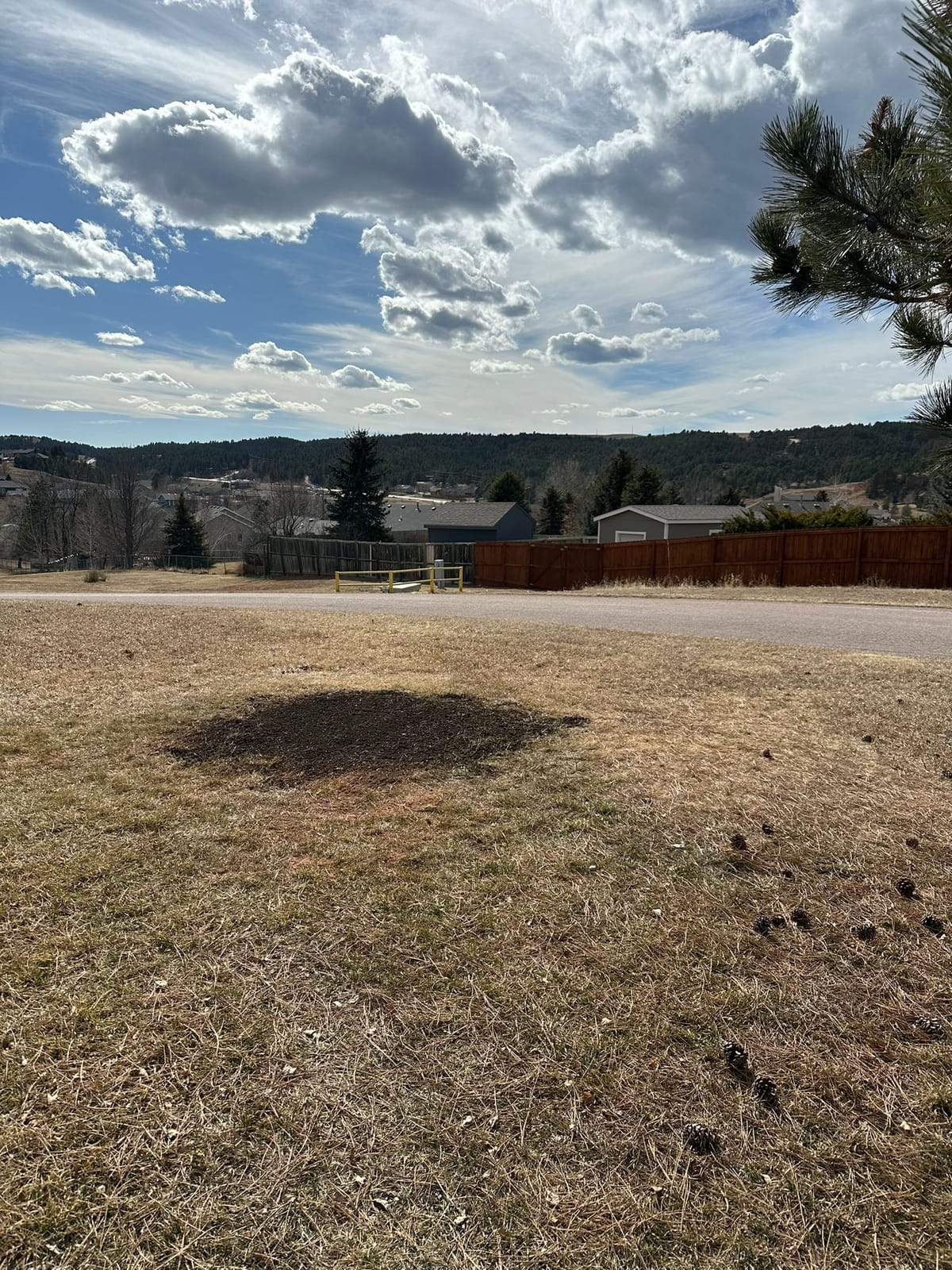Yard Decor Removal — Merkle Werks landscaping project
